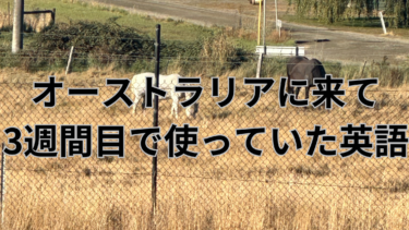オーストラリアに来て３週間目で使っていた英語